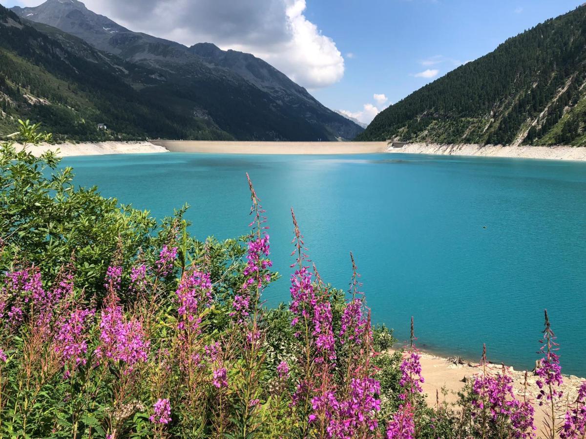 Landhaus Zillertal 齐勒河谷的拉姆绍 外观 照片