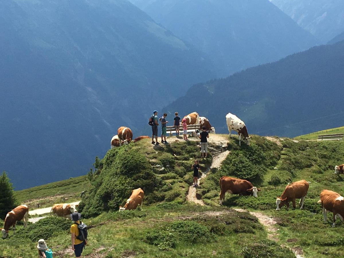 Landhaus Zillertal 齐勒河谷的拉姆绍 外观 照片