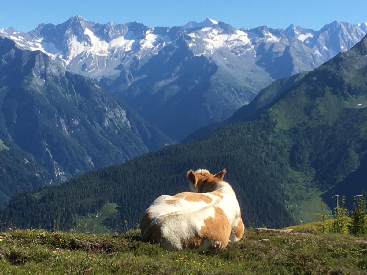 Landhaus Zillertal 齐勒河谷的拉姆绍 外观 照片