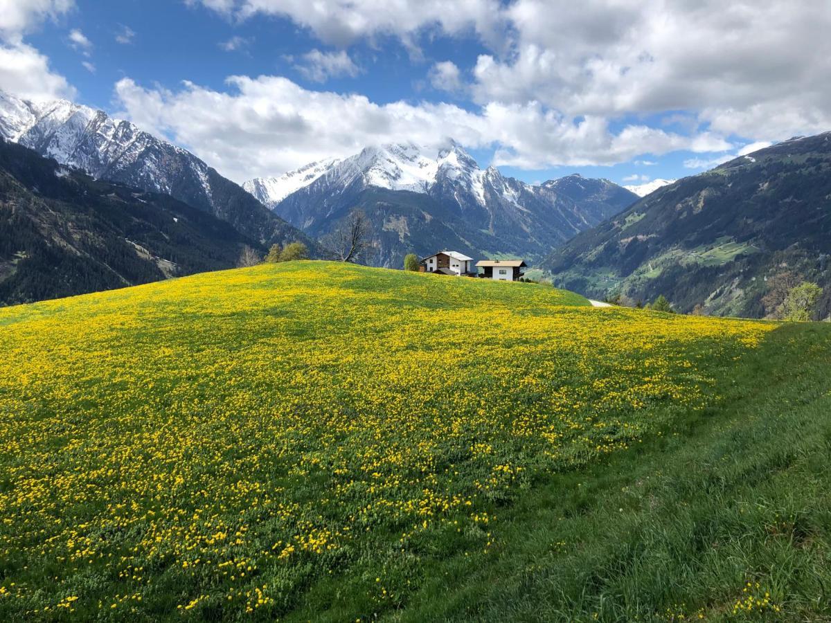 Landhaus Zillertal 齐勒河谷的拉姆绍 外观 照片