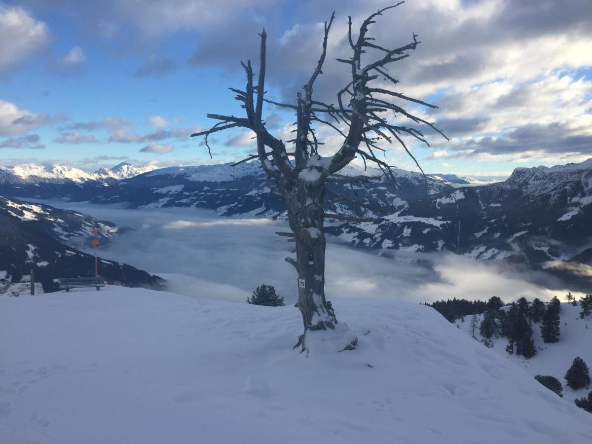 Landhaus Zillertal 齐勒河谷的拉姆绍 外观 照片
